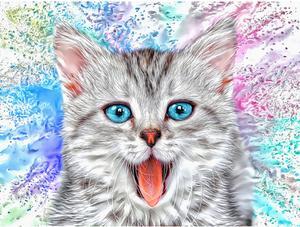 CATS - Kitty Gray Joy by Alan Foxx - PoP x HoyPoloi Gallery
